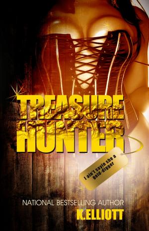 Cover of Treasure Hunter