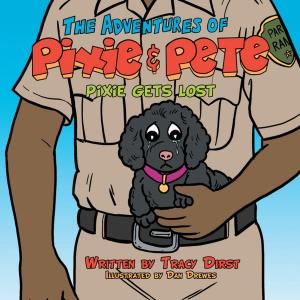 Cover of the book The Adventures of Pixie and Pete Pixie Gets Lost by Brigit Levois