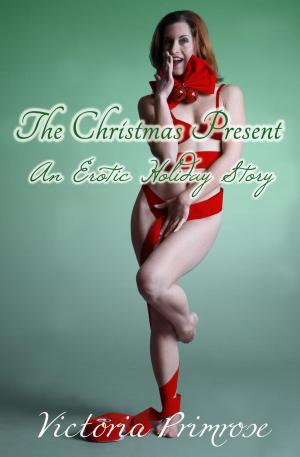 Cover of the book The Christmas Present: An Erotic Holiday Story by CM Hutton