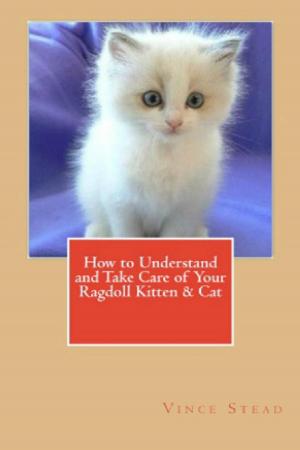 Cover of the book How to Understand and Take Care of Your Ragdoll Kitten & Cat by Candy Kross