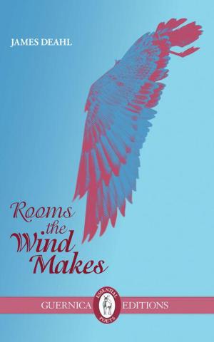 Cover of the book Rooms the Wind Makes by Robert Flanagan