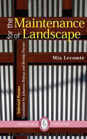 Cover of the book For the Maintenance of Landscape by Tom Wayman