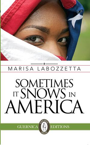 Cover of the book Sometimes It Snows In America by 