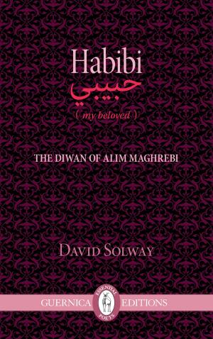 Cover of the book Habibi by Elizabeth Langridge