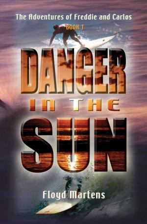Cover of the book Danger in the Sun by Tony Worden