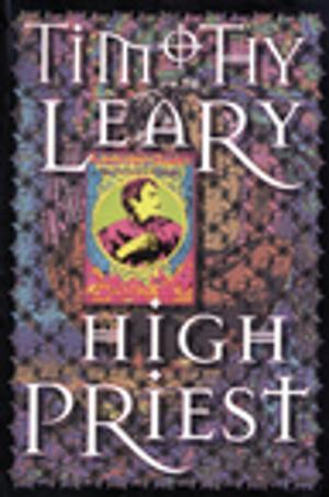 Cover of the book High Priest by Beverly A. Potter, Ph.D.