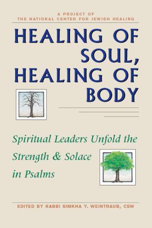 Cover of the book Healing of Soul, Healing of Body by Rabbi Karyn D. Kedar