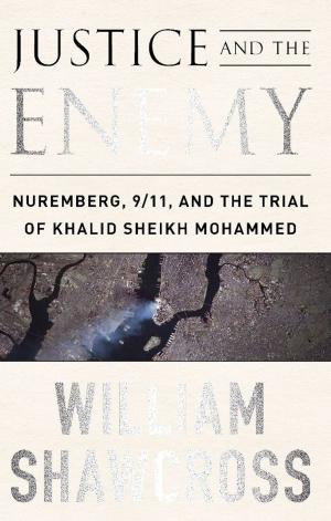 Cover of the book Justice and the Enemy by Anne Nivat