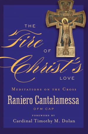 Cover of the book The Fire of Christ's Love by Fr. Joh Riccardo