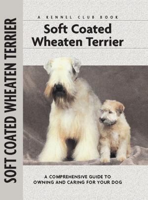 Cover of the book Soft Coat Wheaten Terrier by Nona Kilgore Bauer