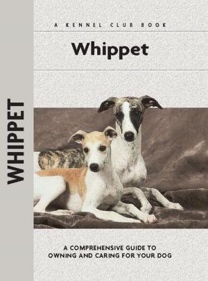 Cover of the book Whippet by Uta Gräf, Friederike Heidenhof