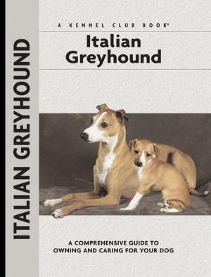 Cover of the book Italian Greyhound by Dogs Redhound for