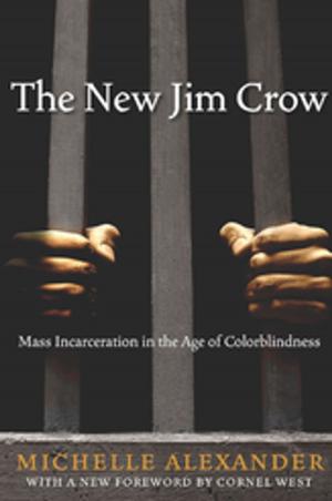 Book cover of The New Jim Crow