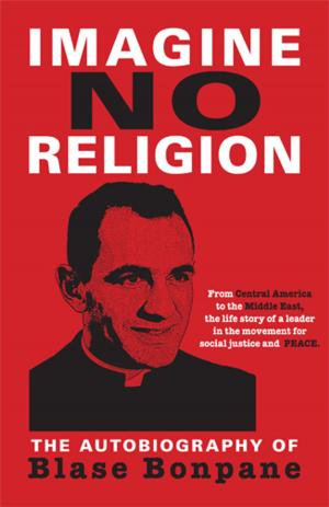 Cover of the book Imagine No Religion by Erin Coughlin Hollowell