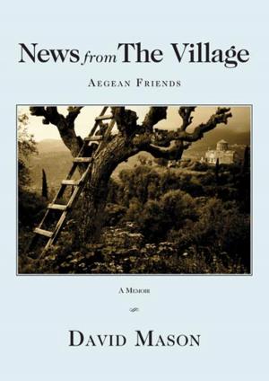 Cover of the book News from the Village by Pope B Brock