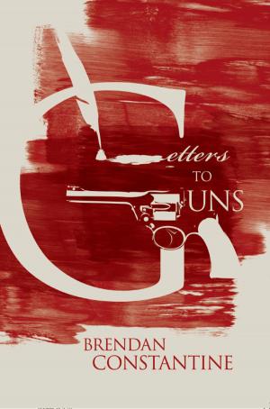 Cover of the book Letters to Guns by GEOFFREY CLARK