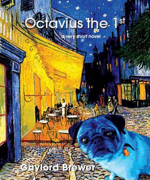 Cover of the book Octavius the 1st by Pope B Brock
