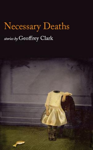 Cover of the book NECESSARY DEATHS by ABBIE AND ANITA HOFFMAN