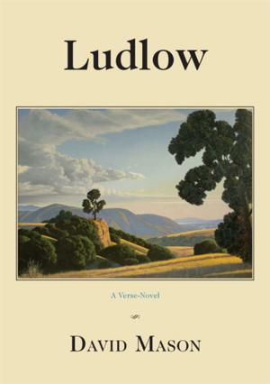 Book cover of Ludlow (2nd edition)