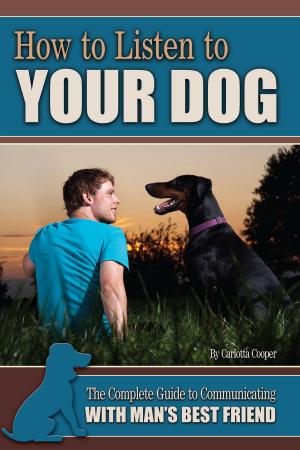 Cover of the book How to Listen to Your Dog by Jamaine Burrell