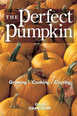 Cover of the book The Perfect Pumpkin by Jessica Jahiel