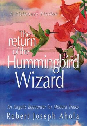 Cover of the book The Return of the Hummingbird Wizard: An Angelic Encounter for Modern Times by Tricia Berry and Danielle Forget Shield