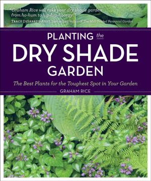 Book cover of Planting the Dry Shade Garden