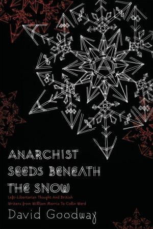 Cover of the book Anarchist Seeds Beneath the Snow by Wolfgang Eckhardt