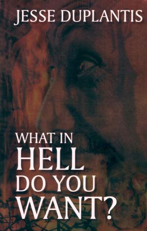 Cover of the book What In Hell Do You Want by Raftery, Lisa