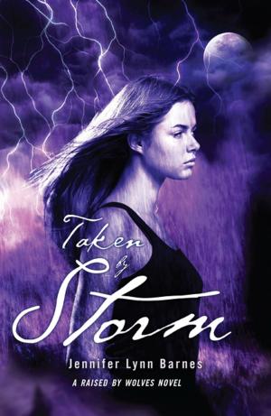 Cover of the book Taken by Storm by Mary Lindeen