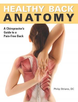Cover of the book Healthy Back Anatomy by Nancy J. Hajeski