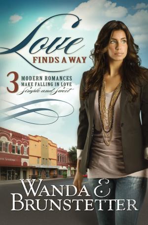 Cover of the book Love Finds a Way: 3 Modern Romances Make Falling in Love Simple and Sweet by Compiled by Barbour Staff