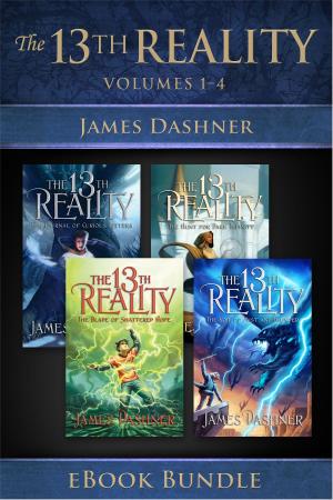 Cover of The 13th Reality