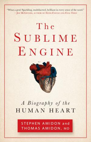 Book cover of The Sublime Engine