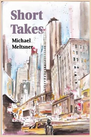 Book cover of Short Takes