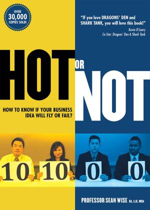 Cover of the book Hot or Not by Steven Dotsch