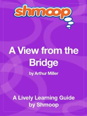 Cover of the book Shmoop Literature Guide: A View from the Bridge by Shmoop