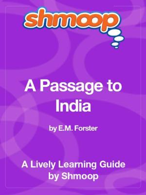 Cover of the book Shmoop Literature Guide: A Passage to India by Shmoop