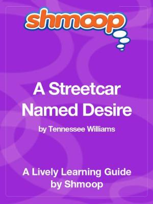 bigCover of the book Shmoop Literature Guide: A Streetcar Named Desire by 