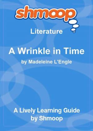 Cover of Shmoop Literature Guide: A Wrinkle in Time