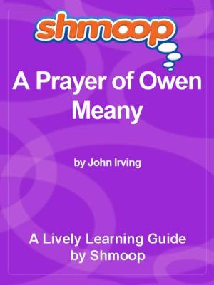 Cover of the book Shmoop Literature Guide: A Prayer for Owen Meany by Shmoop