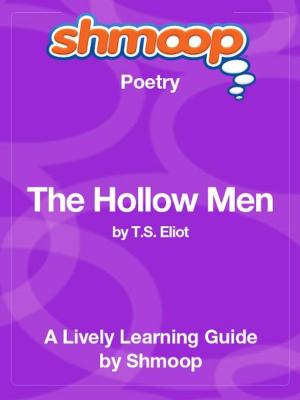 Book cover of Shmoop Poetry Guide: The Great Figure