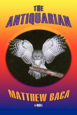 Cover of the book The Antiquarian by Michael Scofield