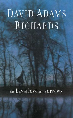 Book cover of The Bay of Love and Sorrows