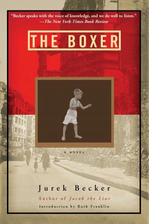 Cover of the book The Boxer by Kenneth Steven