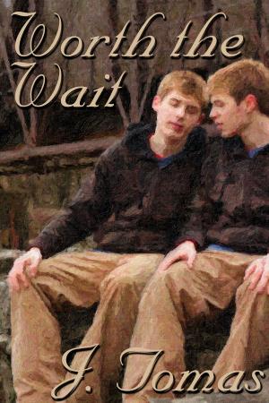 Cover of the book Worth the Wait by J. Tomas