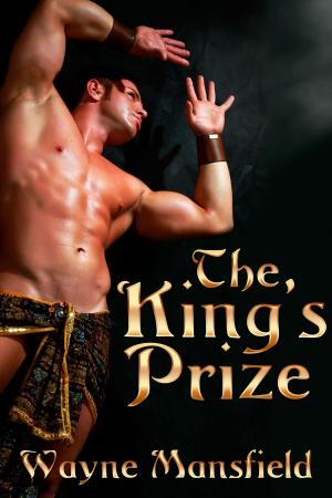 Cover of the book The King's Prize by Tinnean