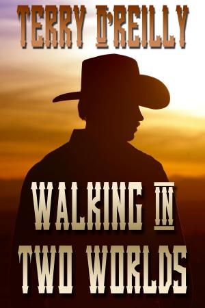 Cover of the book Walking in Two Worlds by Deirdre O’Dare