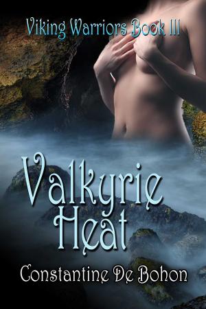 Cover of the book Valkyrie Heat by Christy Poff