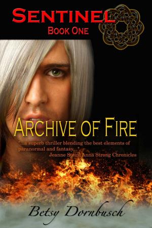 Book cover of Archive Of Fire